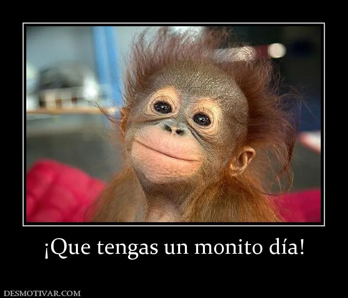 Desmotivaciones ¡Que tengas un monito día!