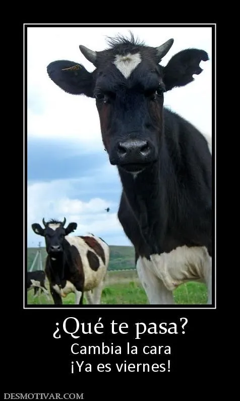 Desmotivaciones ¿Qué te pasa? Cambia la cara ¡Ya es viernes! Desmotivaciones ¿Qué te pasa? Cambia la cara ¡Ya es viernes!