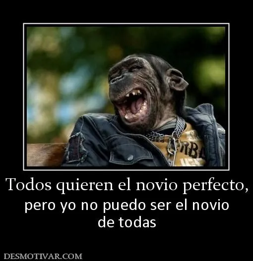 Desmotivaciones Todos quieren el novio perfecto, pero yo no puedo ...