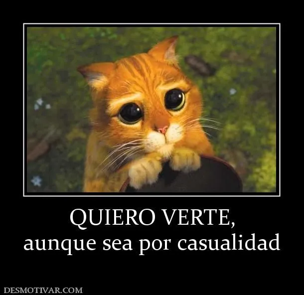 Desmotivaciones QUIERO VERTE, aunque sea por casualidad Desmotivaciones QUIERO VERTE, aunque sea por casualidad