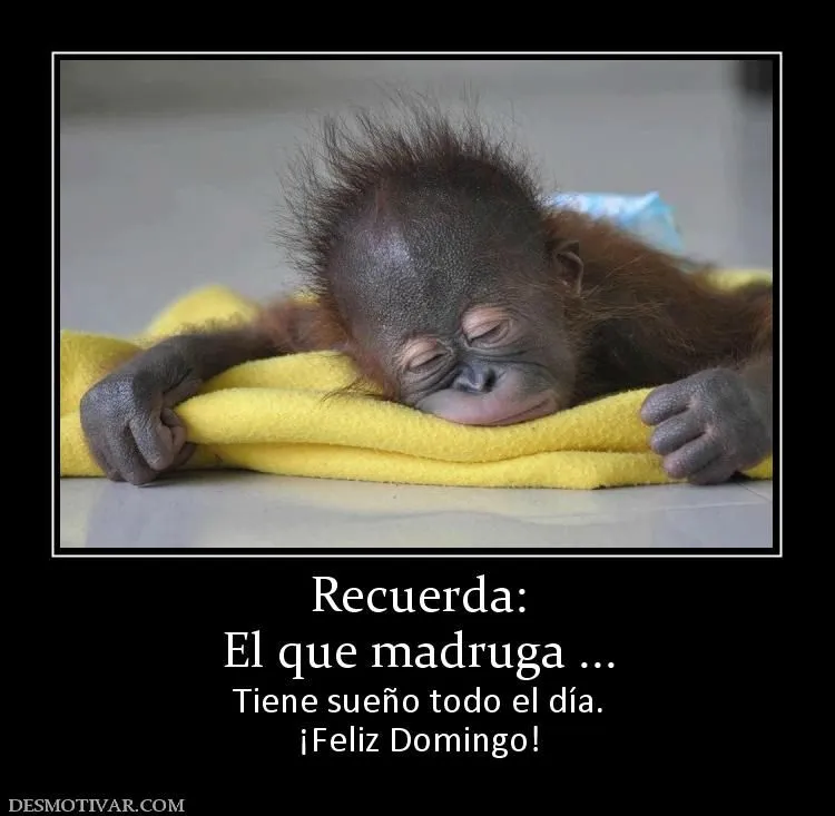 Desmotivaciones Recuerda: El que madruga ... Tiene sueño todo el ... Desmotivaciones Recuerda: El que madruga ... Tiene sueño todo el ...