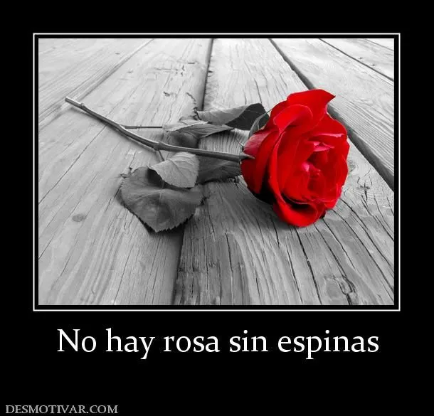 Desmotivaciones No hay rosa sin espinas