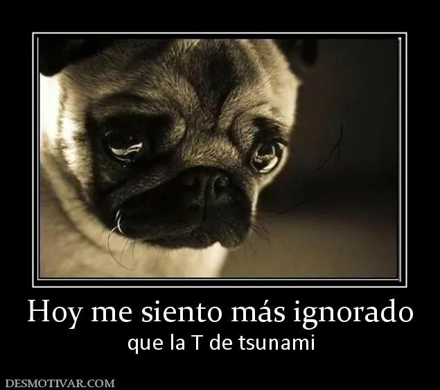 Desmotivaciones Hoy me siento más ignorado que la T de tsunami Desmotivaciones Hoy me siento más ignorado que la T de tsunami