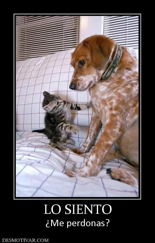 Desmotivaciones LO SIENTO ¿Me perdonas?