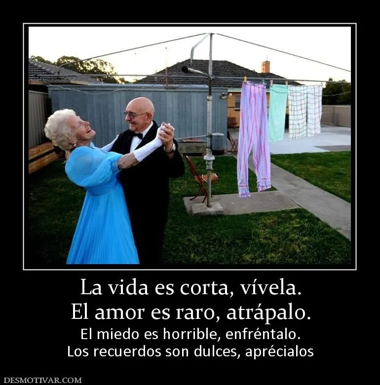 Desmotivaciones La vida es corta, vívela. El amor es raro ... Desmotivaciones La vida es corta, vívela. El amor es raro ...