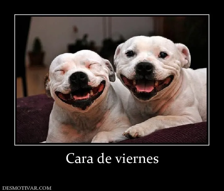 Desmotivaciones Viernes