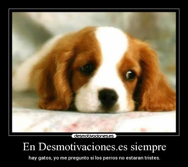 Carteles de Perros Pag. 3 | Desmotivaciones Carteles de Perros Pag. 3 | Desmotivaciones