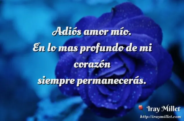La Despedida.Es muy doloroso dejar a un amor libre, especialmente ... La Despedida.Es muy doloroso dejar a un amor libre, especialmente ...