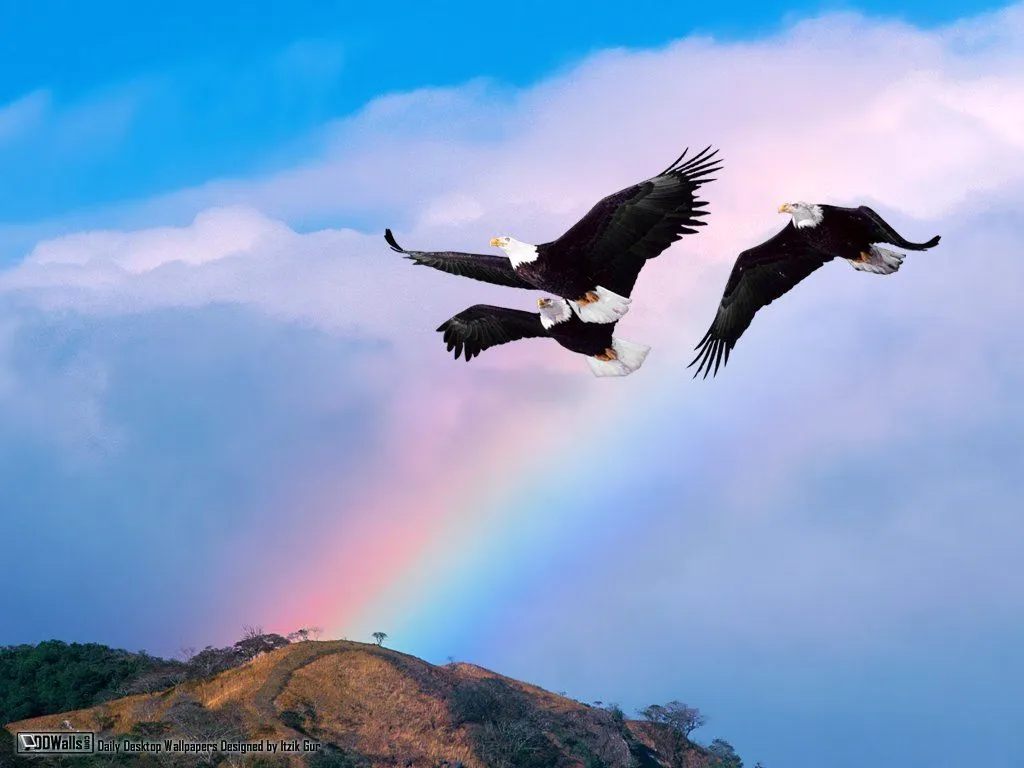 DESPLIEGA TUS ALAS AHORA ♥: Cada uno vuela su vuelo DESPLIEGA TUS ALAS AHORA ♥: Cada uno vuela su vuelo