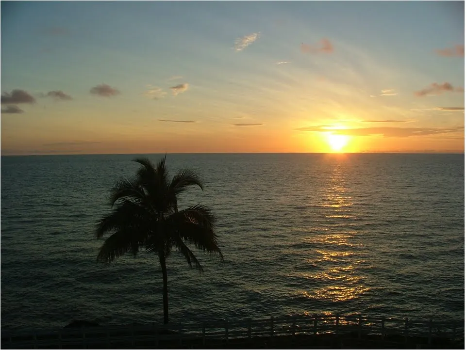 Destino Verde: noviembre 2009 Destino Verde: noviembre 2009