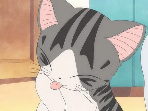 Chi gato - Imagui