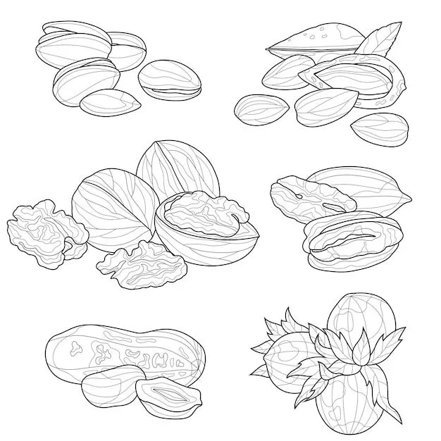 Detalles más de 66 dibujos frutos secos para colorear mejor - camera.edu.vn Detalles más de 66 dibujos frutos secos para colorear mejor - camera.edu.vn