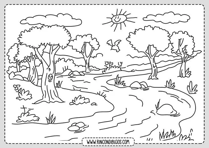 Detalles más de 77 dibujos para colorear un bosque - camera.edu.vn Detalles más de 77 dibujos para colorear un bosque - camera.edu.vn