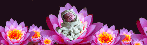 NENUFAR.gif