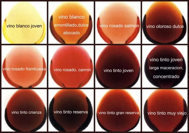 Qué determina el color del vino? / Blog - Bodega Santa Cecilia ... Qué determina el color del vino? / Blog - Bodega Santa Cecilia ...
