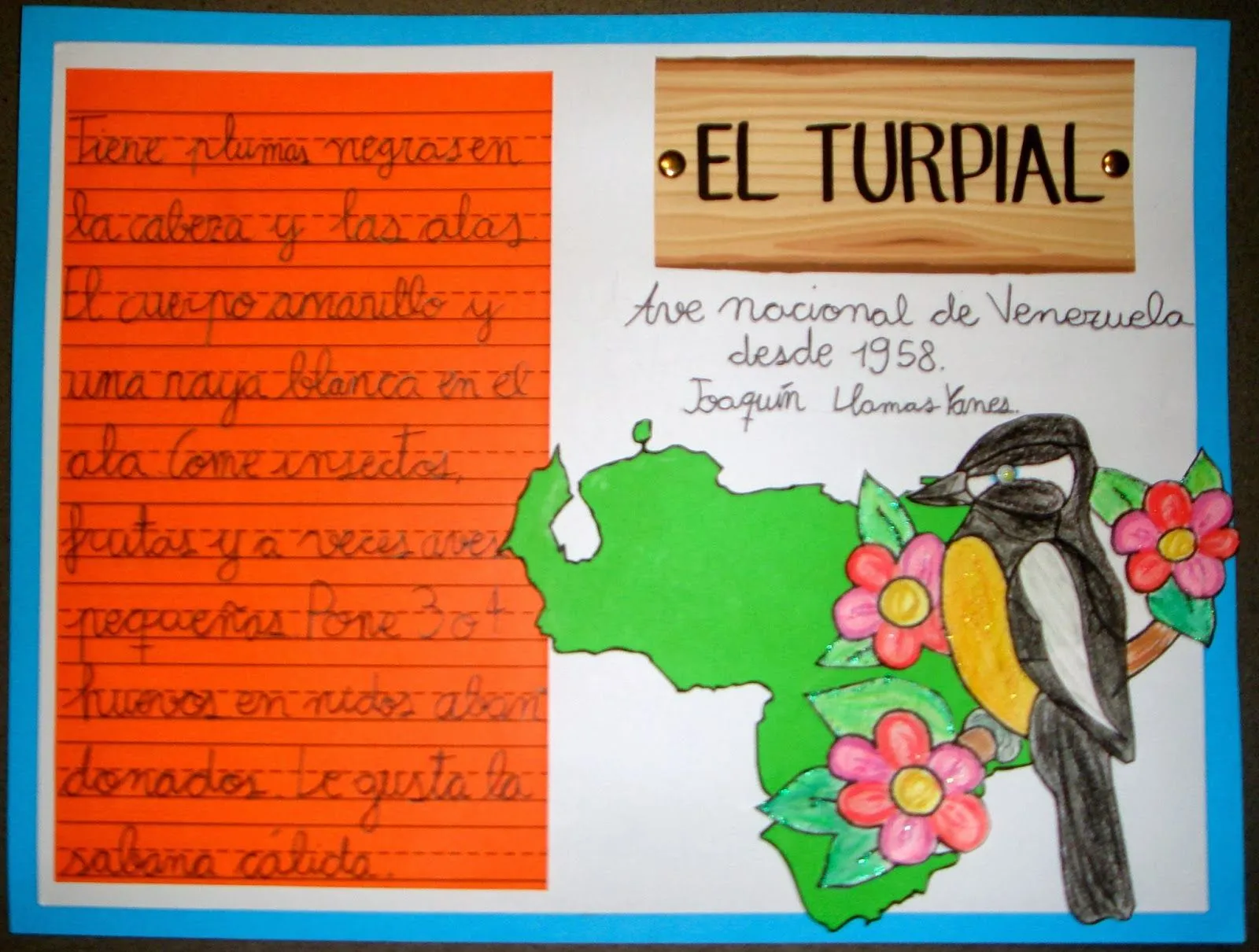 DetodounLolo: el turpial