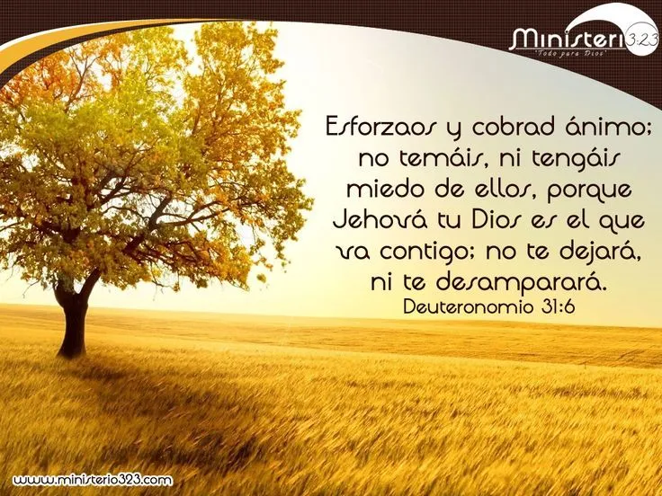 Deuteronomio 31:6 | Textos bíblicos | Pinterest Deuteronomio 31:6 | Textos bíblicos | Pinterest
