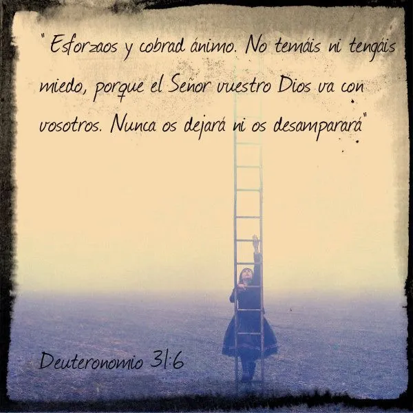 Deuteronomy 31:6 Deuteronomio 31:6 | ✝✝ H.o.p.e (Hold On Pain ... Deuteronomy 31:6 Deuteronomio 31:6 | ✝✝ H.o.p.e (Hold On Pain ...