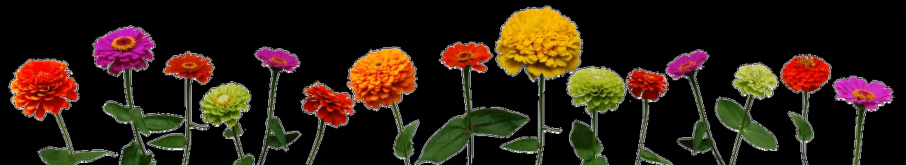 DeviantArt: More Artists Like Panjtan pak a.s by YpakiAbbas