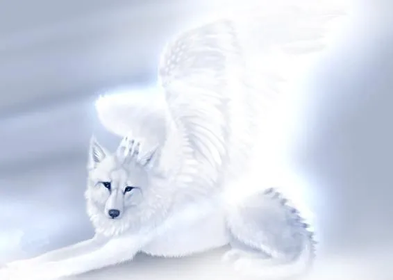 DeviantArt: More Like los lobos blancos. by heartwolf DeviantArt: More Like los lobos blancos. by heartwolf