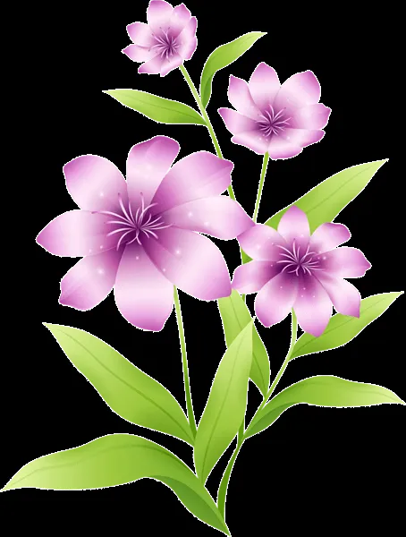DeviantArt: More Like [RES] Flower Frame PNG by HanaBell1