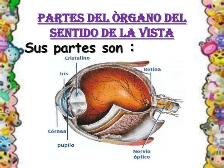 deysy-diapositivas-sentido-de- ... deysy-diapositivas-sentido-de- ...