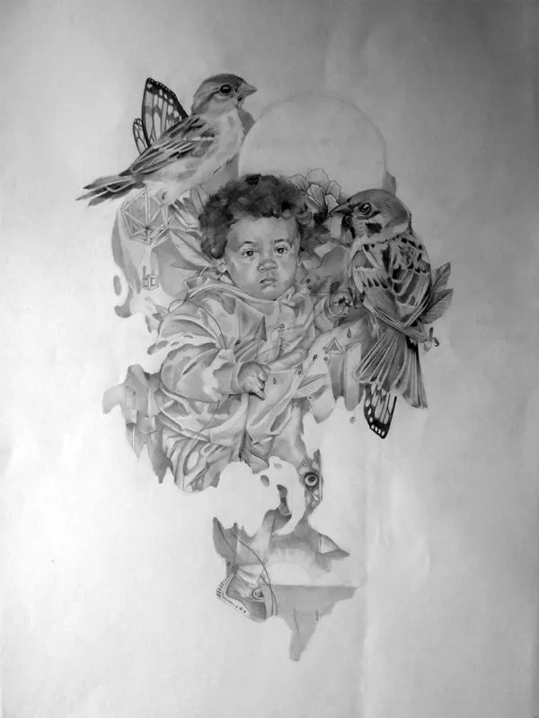 DGCV™ | Archive | PORTFOLIOS