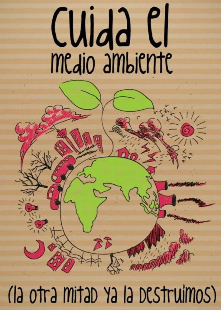 DÍA DEL MEDIO AMBIENTE | Blog para los cursos de 2º de primaria