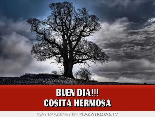 Buen día!!! cosita hermosa - Placas Rojas TV Buen día!!! cosita hermosa - Placas Rojas TV