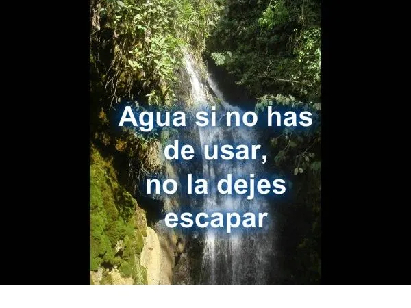 DÍA INTERNACIONAL DEL AGUA |