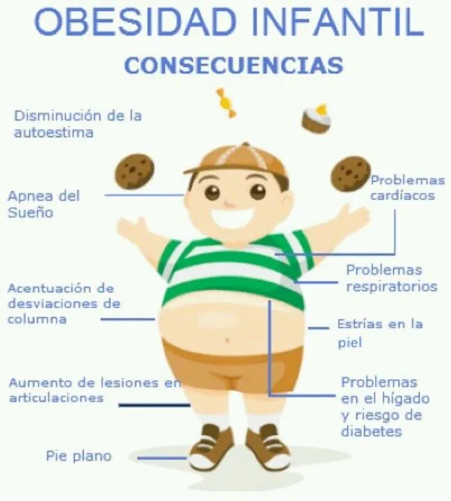 alimentación | Educación Física Espartero
