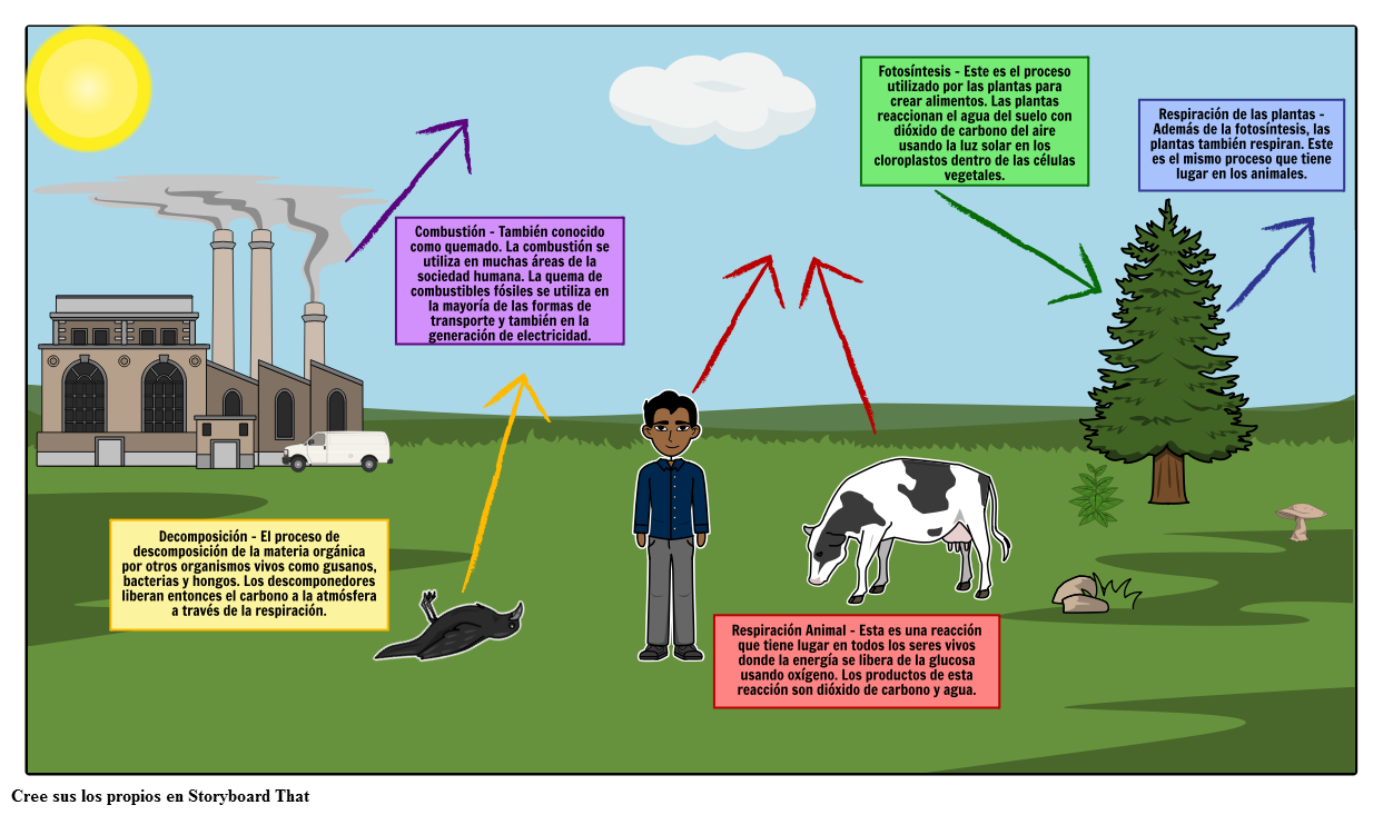 Hacer un Diagrama de Ciclo de Carbono