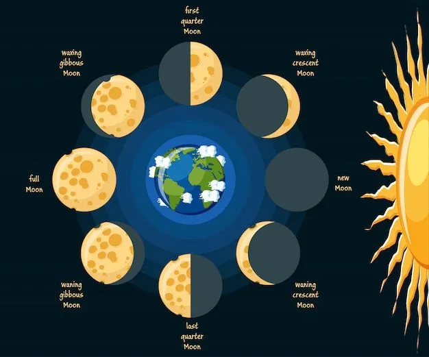 Diagrama de fases de la luna básica | Vector Premium Diagrama de fases de la luna básica | Vector Premium
