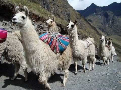 Diaguitas - YouTube