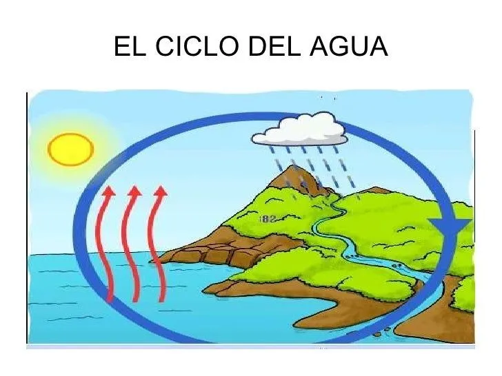 Diana: el ciclo del agua