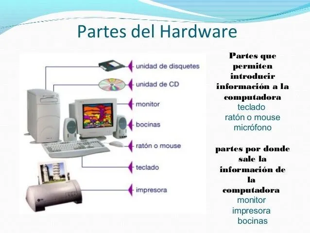 diapositiva-partes-de-la- ...