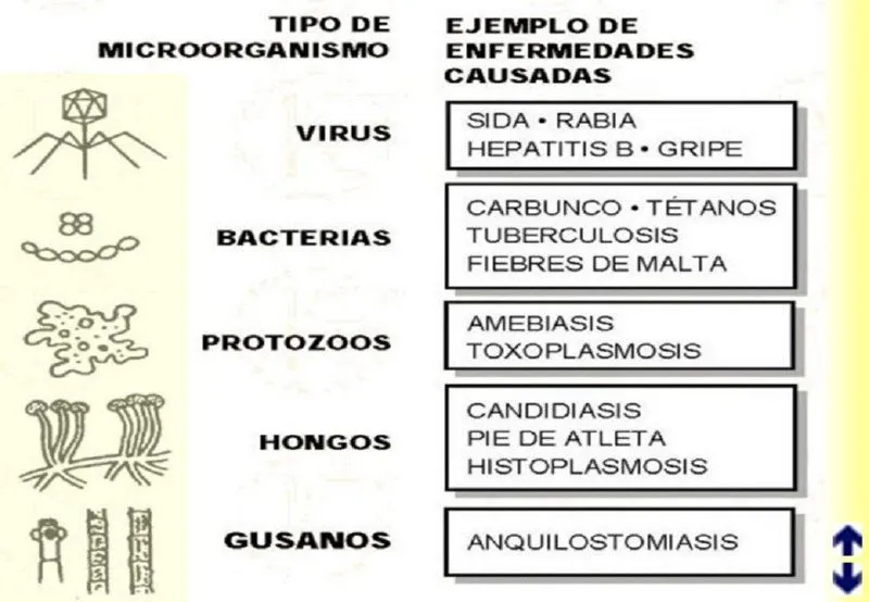 RIESGO QUIMICO