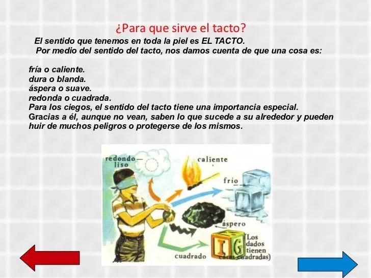 diapositivas-sentidos-14-728. ...