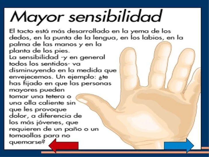 diapositivas-sentidos-15-728. ...