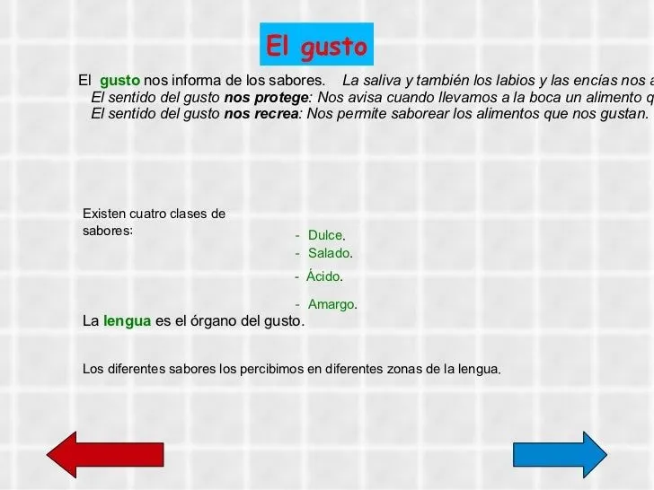 diapositivas-sentidos-16-728. ...