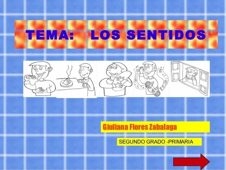 Diapositivas Sentidos