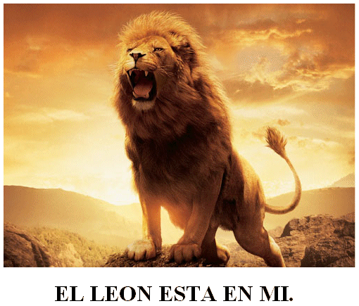 El diari de Alin: leones