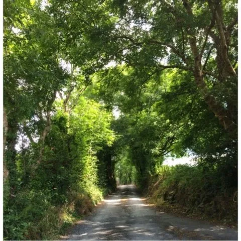 Diario de una Au´Pair perdida de la mano de Dios: julio 2014