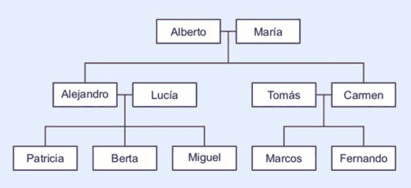 DIARIO DE CLASE: Árbol familiar