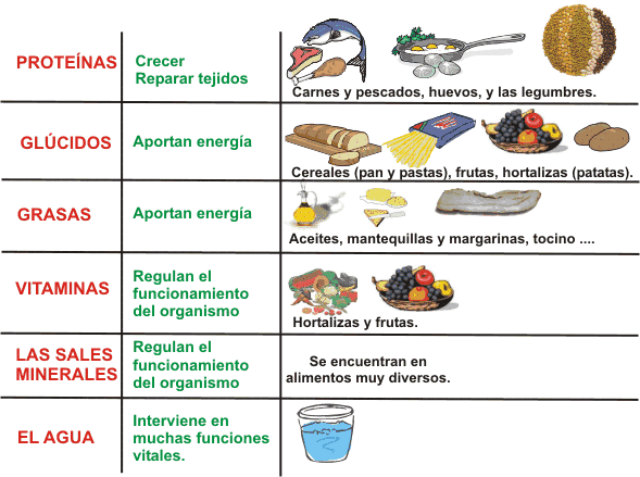 Diario de mi clase: CIENCIAS NATURALES
