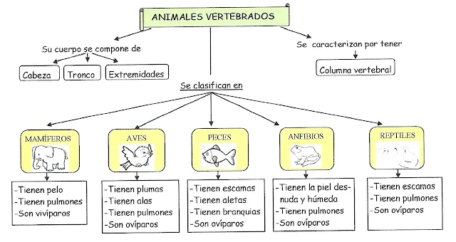 Diario de mi clase: CONOCIMIENTO DEL MEDIO