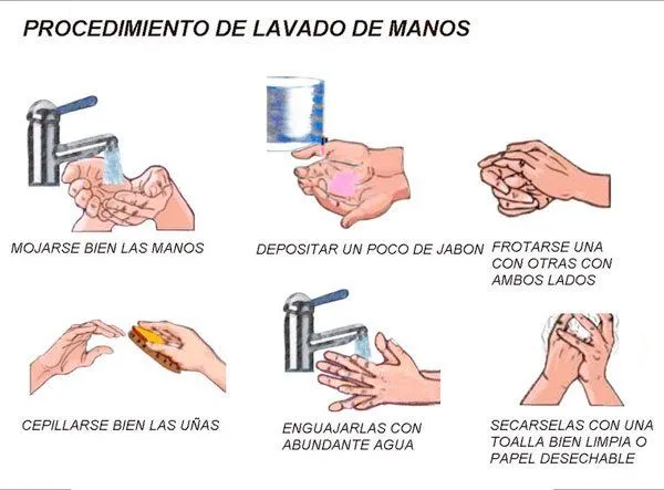 El Diario - Lavarse las manos tras ir al baño evita infecciones El Diario - Lavarse las manos tras ir al baño evita infecciones