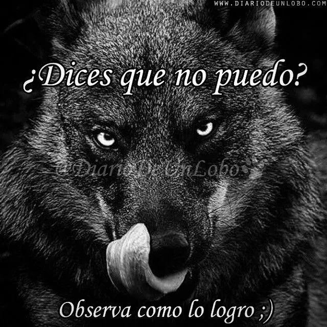 Diario de un Lobo