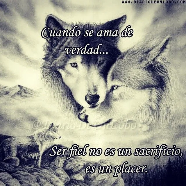 Diario de un Lobo