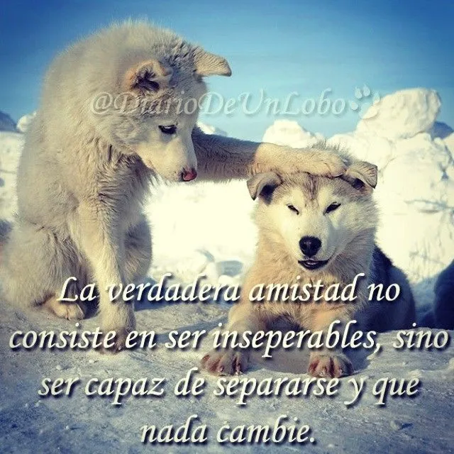 Diario de un Lobo